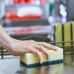 Scourers Sponge /Green (10pk)