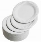 Paper Plate 9" (100)
