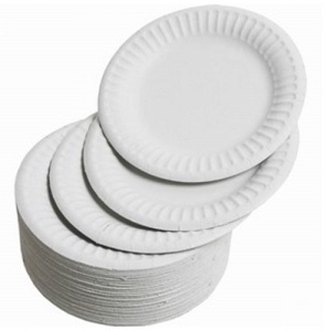 Paper Plate 9" (100)