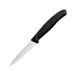 Swiss Classic Paring Knife