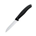 Swiss Classic Paring Knife