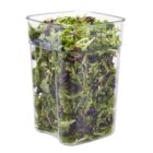 Cambro Container Square Polycarbonate - 20.8Ltr