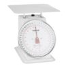 Vogue Platform Scale 20kg