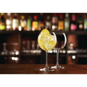 GIN & MARTINI GLASSES
