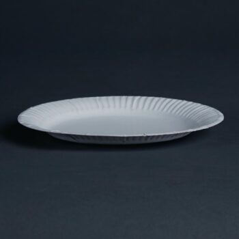 Paper Plates 7" (Pack of 100)
