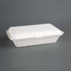 Fiesta Compostable Bagasse Hinged Food Containers 248mm (Pack of 250)