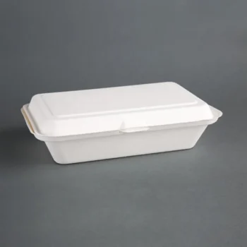 Fiesta Compostable Bagasse Hinged Food Containers 248mm (Pack of 250)