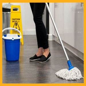 CLEANING : Chemicals & Equipment
